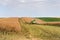 Harvester machine to harvest wheat field working.