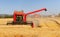 Harvester machine on wheat field
