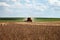 Harvester making harvesting soybean field - Mato Grosso State -