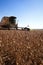 Harvester making harvesting soybean field - Mato Grosso State -