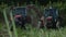 Harvester and Tractor | Harvesting Carrots at Farm