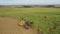 harvester and trailer in sugarcane field in sunny afternoon