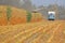 Harvester and Truck in Corn Field