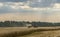 Harvester unloads the harvest of grain in the body of the tractor on the field