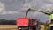 Harvester unloads wheat grain on farmland field background