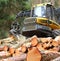 The harvester working in a forest.