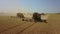 Harvesters are collecting harvest grain of wheat in the field 4K