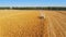 Harvesters Work on Cornfield