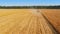 Harvesters Work on Cornfield