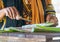 Harvesting aloe vera plant demonstration