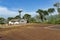 After harvesting, the Arabica coffee berries dry in the sun on the farm plantations on the Western Ghats of Kerala, India