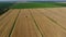 Harvesting barley harvesters. Fields of wheat and barley, the work of agricultural machinery. Combine harvesters and tractors