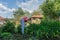 Harvesting Bounty: Organic Peppers in the Summer Sun