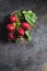 Harvesting bright fresh organic radishes with leaves, purple colorful on blue grunge table