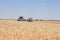 harvesting combine unloading wheat