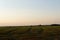 Harvesting by combines at sunset . Agriculture working