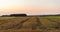 Harvesting by combines at sunset . Agriculture working