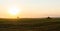 Harvesting by combines at sunset . Agriculture working