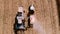 Harvesting Corn aerial details. Farmer using combine, tractor and machinery for autumn harvest