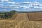 Harvesting corn by a combine harvester, followed by unloading and transportation of grain. Work in the field in the rays of the su