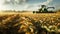 Harvesting corn in the middle of an open field with a green harvester working on it. Harvester harvesting