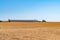 harvesting crops on palouse washington wheat fields in summer