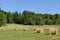 Harvesting. Fields and bales of hay. Aland Islands