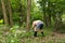 Harvesting Firewood: Diligence Under the Verdant Canopy of a Summer Forest