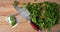 Harvesting fresh parsley for the winter and packing with bags. Greens on a cutting board