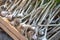 After harvesting, the garlic is placed in wooden vegetable crates. Close-up. Garlic drying process. Dried garlic top