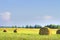 Harvesting on a golden wheat field. Bales of hay on the field.