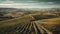 Harvesting grapes in Chianti region, idyllic winery in panoramic landscape generated by AI