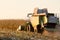 Harvesting. Harvest machine on field closeup