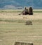 Harvesting hay, bale loader