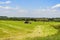 Harvesting hay in rolls on a mowing field with a tractor in the month of June. Moscow region. Russia.