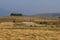 Harvesting hay tractor work on field make haystacks, Plana mountain