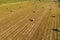 Harvesting hay for the winter, fodder for cattle, round bales in the field view from above