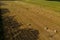 Harvesting hay for the winter, fodder for cattle, round bales in the field view from above