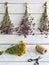 Harvesting herbs of oregano and tutsan into bundles and preparation for drying