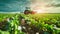 Harvesting Innovation: The Essence of Smart Farming Unveiled