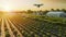 Harvesting Innovation: The Essence of Smart Farming Unveiled