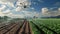 Harvesting Innovation: The Essence of Smart Farming Unveiled