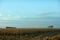 Harvesting the maize crop in fall