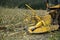 Harvesting maize for silage