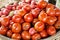 Harvesting many fresh Tomato Homegrown vegetable for show and sale