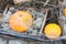 Harvesting pumpkins for storage in wooden boxes