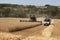 Harvesting rye on a Cotswold farm. in Gloucestershire, UK