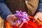 Harvesting saffron crocus flowers in a field in Jammu and Kashmir