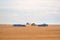 Harvesting. Special machinery in a wheat field. Summer day