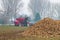 Harvesting of sugar-beets, Brummen in the Netherlands